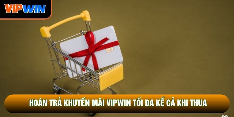 Hoàn trả khuyến mãi Vipwin tối đa kể cả khi thua Hoàn trả khuyến mãi Vipwin tối đa kể cả khi thua
